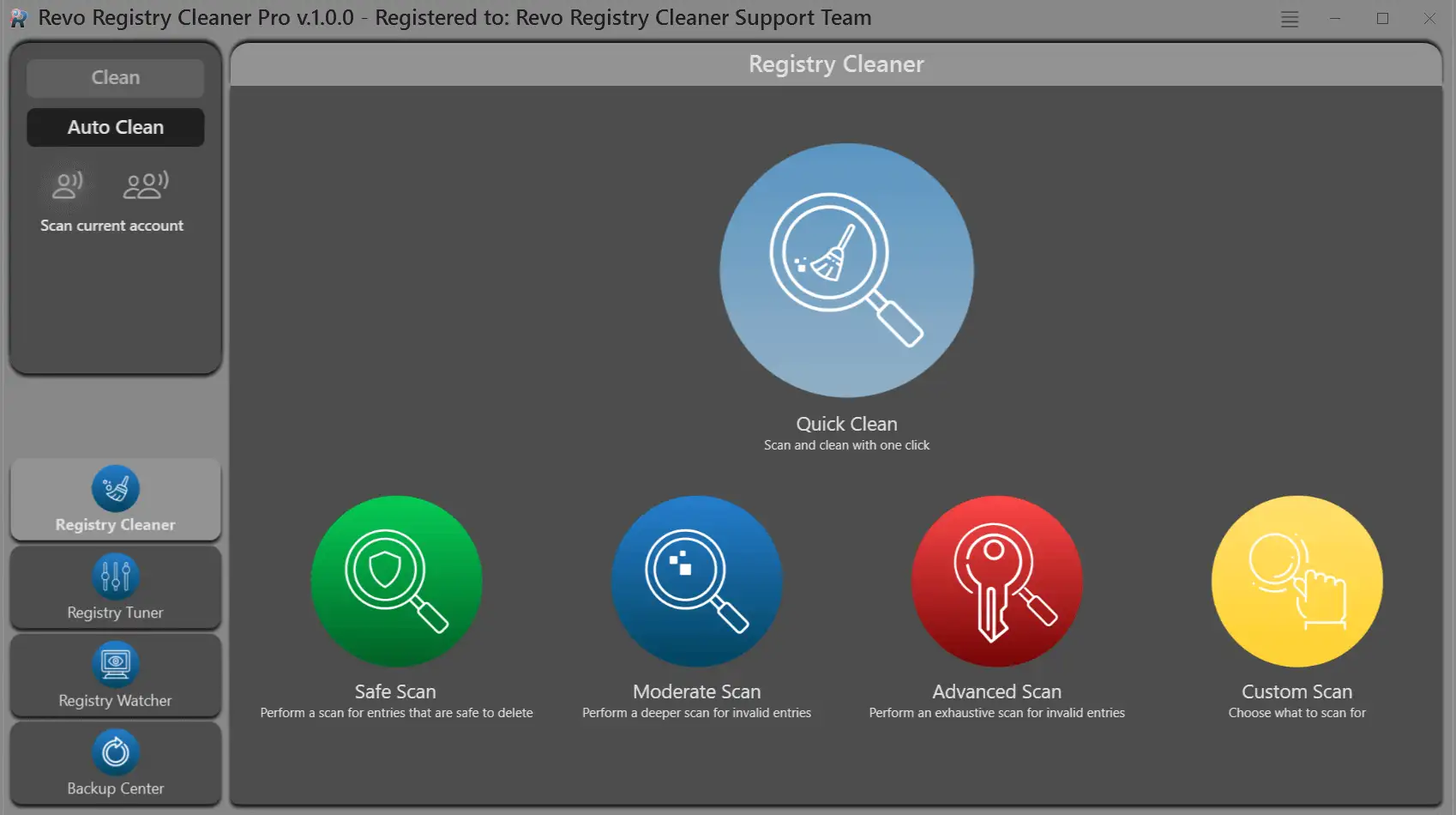 Registry Cleaner: Hauptlayout mit auf Nutzer ausgerichteten Steuerelementen